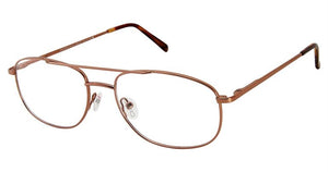 CRUZ Eyeglasses  |  HESTER ST  | Brown, Gold, Gunmetal   | 2 Sizes